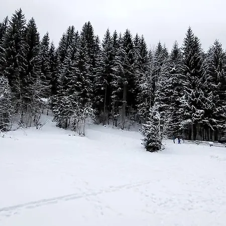 شقة Cocon A 2 Pas Des Pistes Du Linga شاتيل