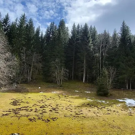 شقة Cocon A 2 Pas Des Pistes Du Linga