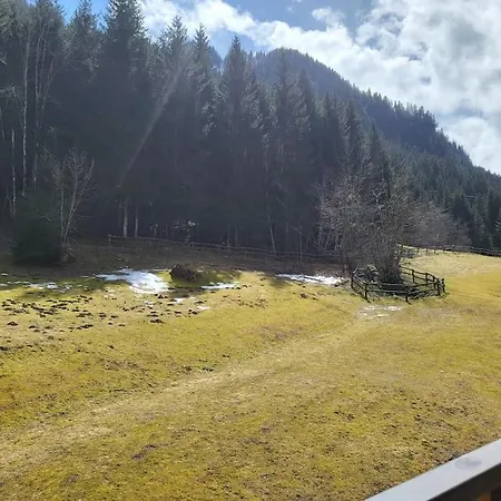Cocon A 2 Pas Des Pistes Du Linga *